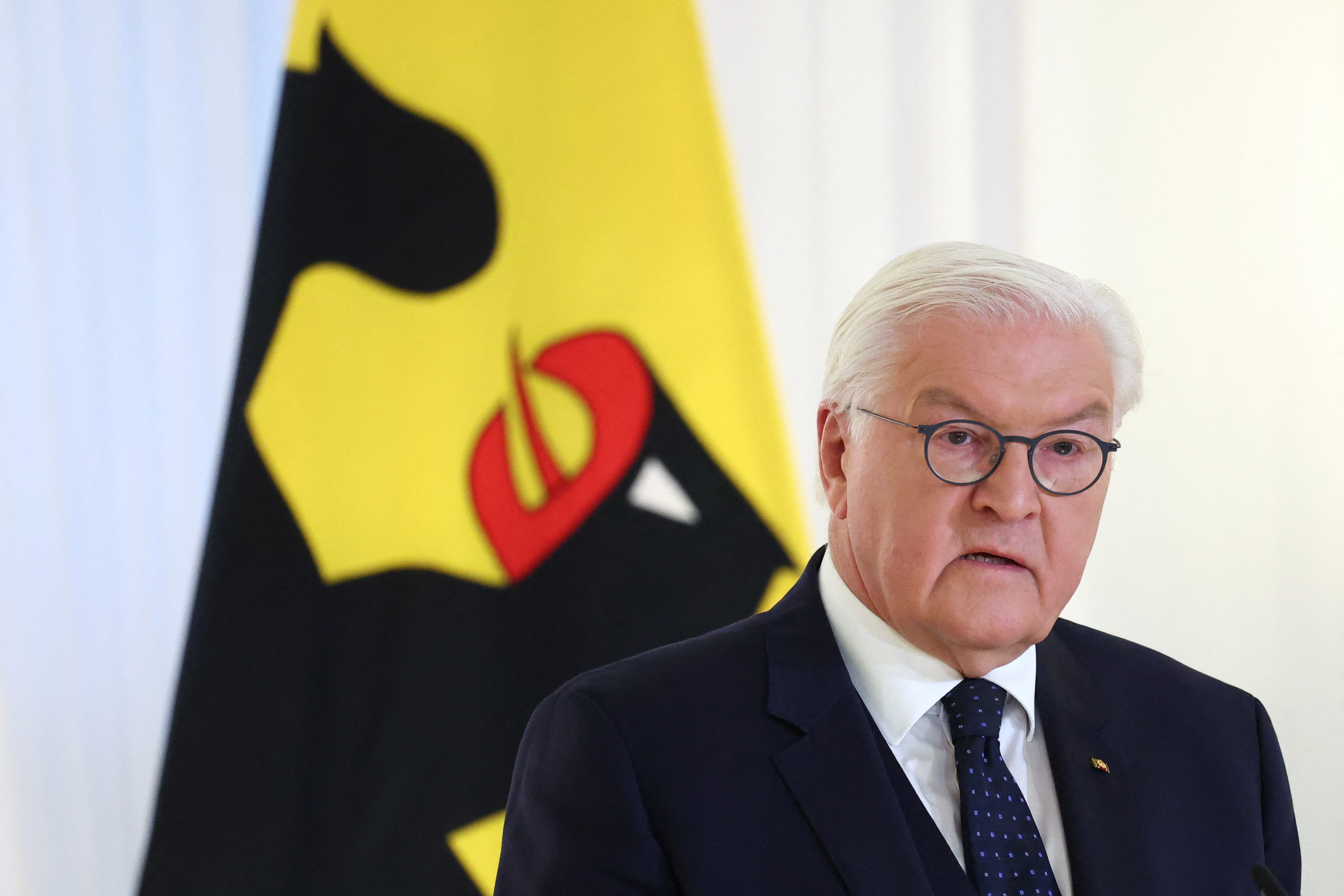 German President: I am prepared to call new elections