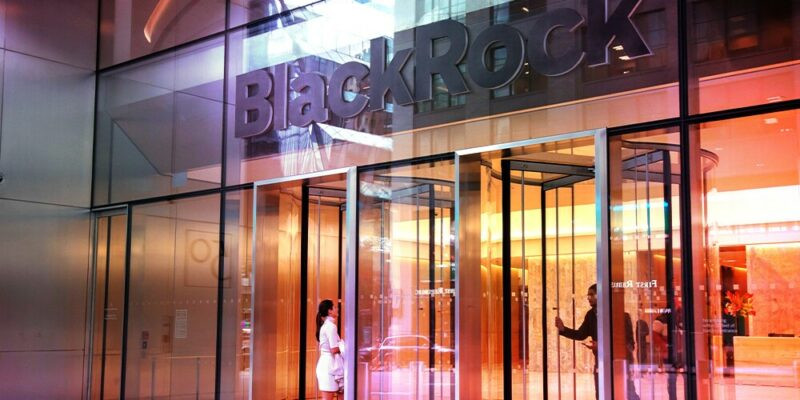 BlackRock is reviewing TechBerry and negotiating a possible full or partial acquisition of the company