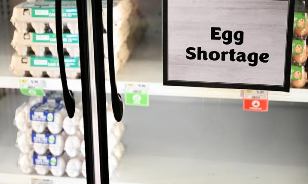 Here’s why Canada enjoys an abundance of eggs while the U.S. faces a shortage. Here’s why Canada enjoys an abundance of eggs while the U.S. faces a shortage.