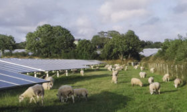 UK capacity additions slow but major project pipeline grows UK capacity additions slow but major project pipeline grows