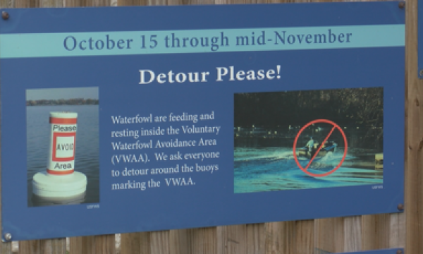 Wildlife Refuge urges boaters to do their part in helping migrating birds Wildlife Refuge urges boaters to do their part in helping migrating birds
