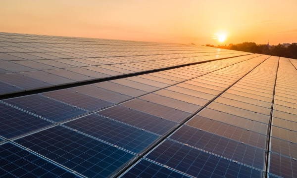 Texas Undermines Trump’s Criticism of Renewable Energy Texas Undermines Trump’s Criticism of Renewable Energy