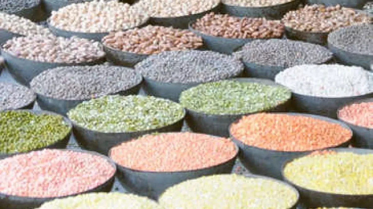 Government Resumes ‘Bharat’ Brand Pulses Sales to Ease Consumer Costs Ahead of Diwali